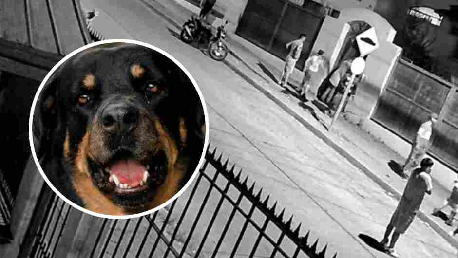 Captura de cámara de seguridad.